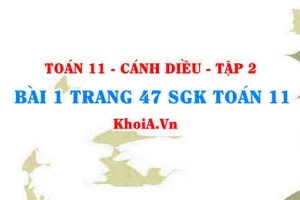 Bài 1 trang 47 Toán 11 tập 2 Cánh Diều